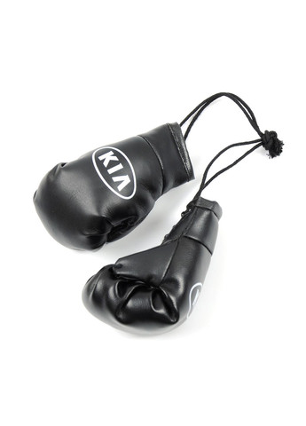 BOX перчатки на зеркало заднего вида KIA Черные No Brand (354774418)