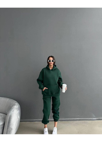 Жіночий теплий спортивний костюм FINO Mode (365798856)