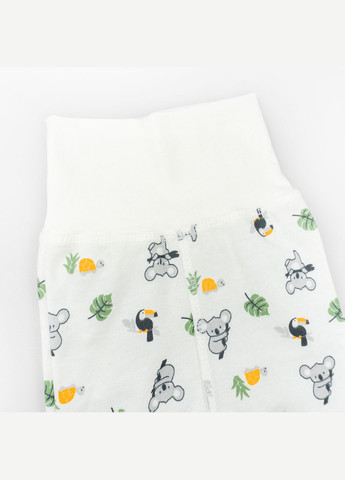 Білий комплект для немовлят 3 в 1 з начосом з коалами koala білий dexter's