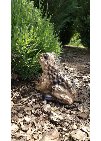 Садовая фигура, декор для сад Жаба земляная No Brand (353314255)