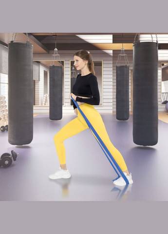 Лента-эспандер для спорта и реабилитации Flat Band 200 х 15 см 9-11 кг Blue () 4FIZJO P-5907222931660 (345710534)