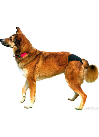 Штанишки защитные 23491 24-31 см Черные (4011905234915) Trixie (328262330)