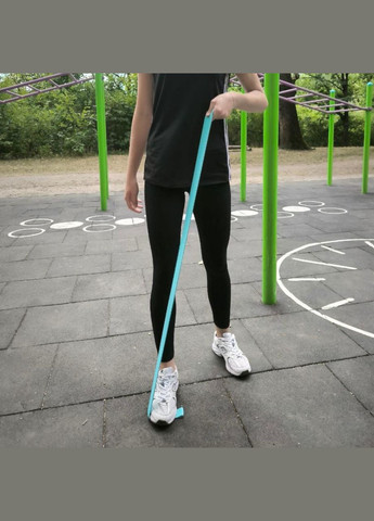 Эластичный ленточный эспандер сегментированный с 9 петлями WXF9 ГОЛУБОЙ SNS (315492805)