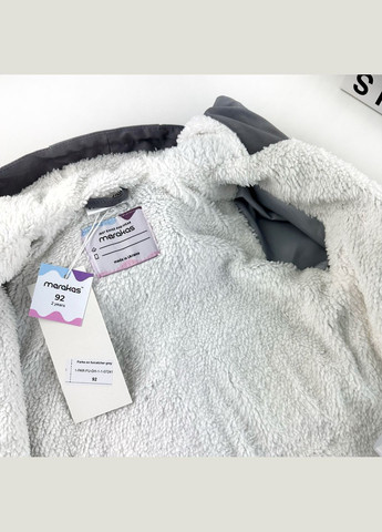 Сіра демісезонна дитяча парка на меховушці для хлопчика та дівчинки з капюшоном (1-par-fu-dh-1-1-07241) Marakas