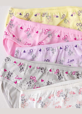 Дитячі трусики для дівчаток, набір 5 штук (Туреччина) Nicoletta Трусики (342119683)