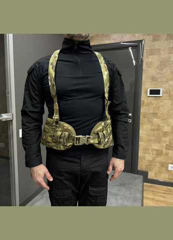 РПС (Украина) с баллистическим пакетом, размер, c системой Молли, Мультикам, разгрузочный жилет, варбелт Добронь (362602078)