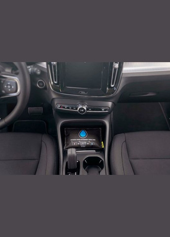 Влагопоглотитель автомобильный 2 шт. х 300 г Bison (317353450)