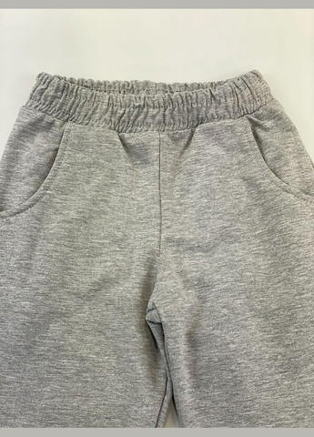 Утепленный спортивный костюм для девочки Фламинго (300000586)