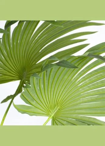 Штучна рослина Cycas Palm, 150 см (DW-23) Engard (387560309)