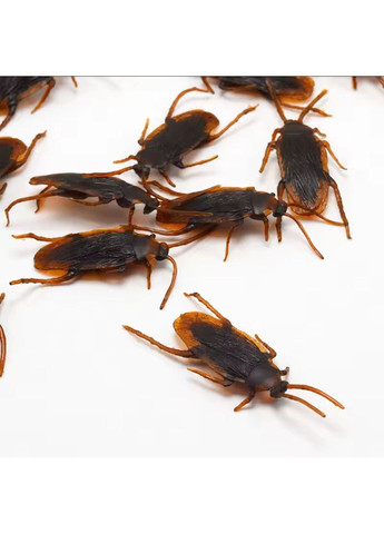 Штучний тарган для розіграшу набор 5 шт No Brand (363022925)