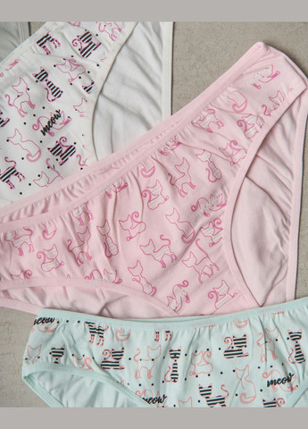 Трусики жіночі бавовняні 5 шт. Nicoletta (322126731)