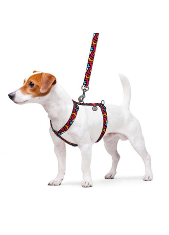 Шлея для собак анатомічна H-подібний Nylon Графіті пластиковий фастекс L Ш 25 мм А 50-90 В 60-100 WAUDOG (292175271)