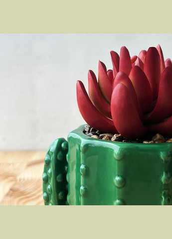 Штучна рослина в горщику MY HOME 12 см Рожевий/зелений (DH-FLOWERS-15 PINK/GREEN) MVM (301003200)