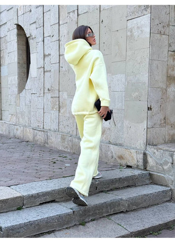 Женский теплый спортивный костюм Asi.Store.ua (362137412)