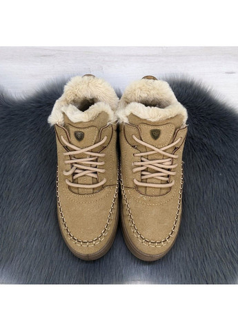 Черевики жіночі зимові замшеві на шнурках Dago (301690029)