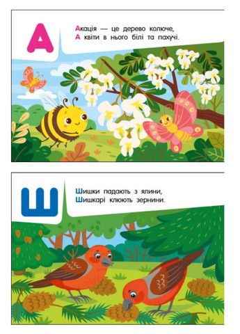 Кишенькова абетка : Абетка в лісі G1631002У 9789667510855 РАНОК (279327457)