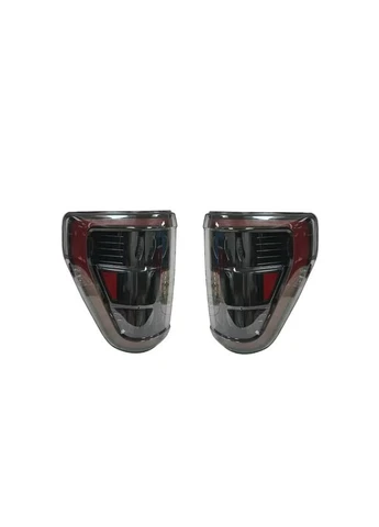 Задние фонари Ford F150 (RPGFDF15021RAPTL) No Brand (383358054)