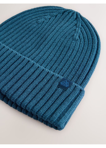 Детская демисезонная шапка-бини вязаная для мальчика NEXT Синяя (25111401) Next Baby (368801814)