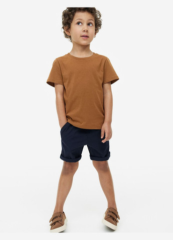 Шорты хлопковые для мальчика . H&M (324622407)