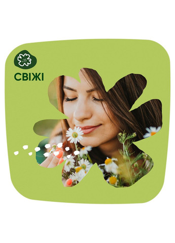 Щоденні прокладки Сamomile Light 100 шт Naturella (304430784)