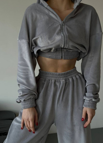 Велюровий повсякденний оверсайз костюм двійка: вкорочений худі на блискавці + широкі штани високої посадки Україна (322743955)