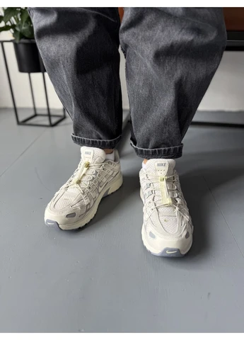 Серые летние кроссовки nike p-6000 beige grey violet найк п-6000 No Brand