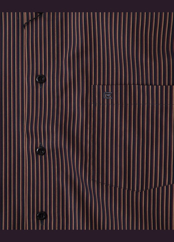 Сорочка чоловіча Casa Moda (323687933)