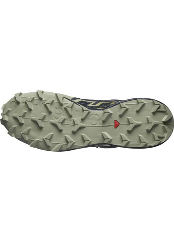 Кроссовки outdoor SPEEDCROSS GTX 39.5 12 Grisai/Carbon/Tea Salomon (339768021)