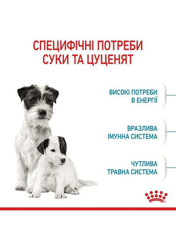 Сухой корм Mini Starter для щенков и собак мелких пород в период беременности и кормления грудью 8 кг Royal Canin (289391157)
