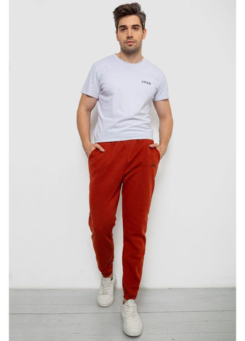 Спортивні штани чоловічі на флісі Sport Line (361893808)