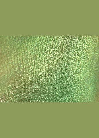 Тіні color exstasy ES003 - Салатовий колір з золотими блискітками, 4г PROVG (302227975)