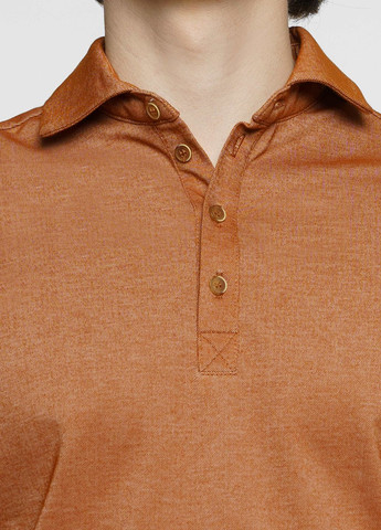 Коричневая футболка-поло мужское коричневое для мужчин Arber однотонная