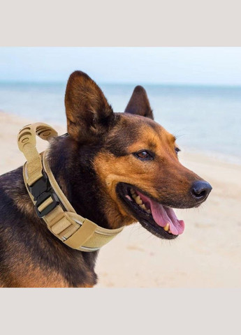 Нашийник для собак Harness Tactical, широкий нейлоновий з металевою пряжкою-фастекс, Коричневий L No Brand (308863037)