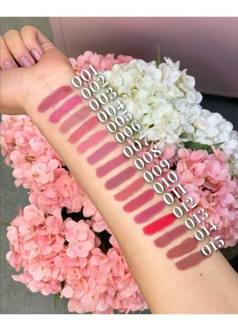 Помада-карандаш для губ Velvet Waterproot Matte BG730 1.4 г Bogenia (332005133)