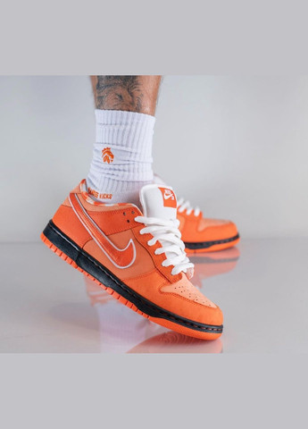 Оранжевые всесезонные кроссовки sb dunk low concepts orange lobster - fd8776-800 Nike
