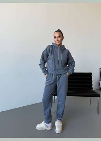 Женский спортивный костюм на флисе серого цвета 30107 No Brand (323643905)