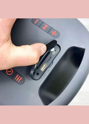 Портативна Bluetooth-колонка Party 100 Black Hopestar (297457437)