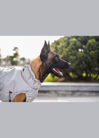 Жилет для собак Flashlight, (*) SmartPet (323153282)