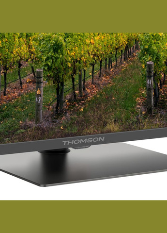 Телевизор 43QG5C14 Thomson (315137618)