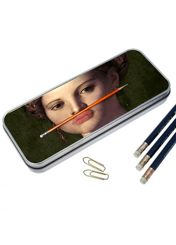 Органайзер для канцелярського приладдя металевий,кейс для дрібниць картина мем арт 7*18 см Silver No Brand (309153796)