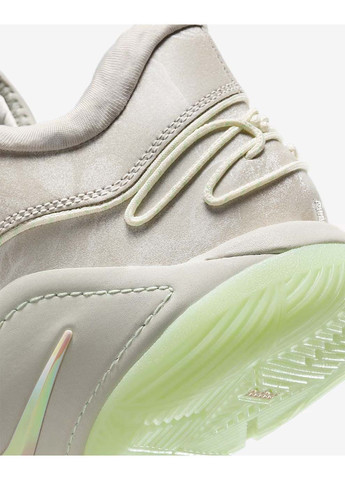 Бежеві Осінні чоловічі кросівки lebron xxii бежевий Nike