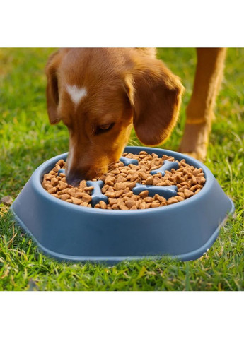 Миска-лабіринт для повільного годування пластикова No Brand (362571956)