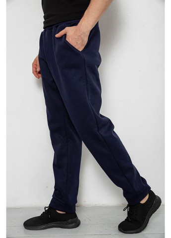 Синие спортивные, кэжуал демисезонные брюки Ager