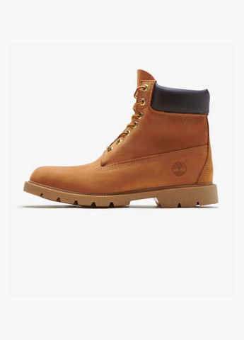 Коричневые демисезонные ботинки мужские 6" basic boot contrast collar brown tb018094231 Timberland