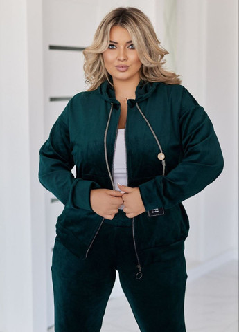 Базовий повсякденний демісезонний велюровий костюм двійка: худі на блискавці + штани Allthings (361790906)