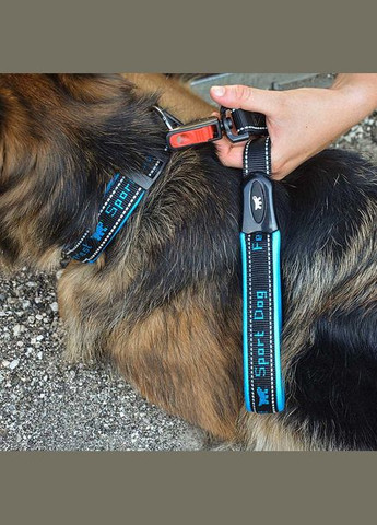 Поводок SPORT DOG MATIC G25/120, нейлон, синий Ferplast (335587874)