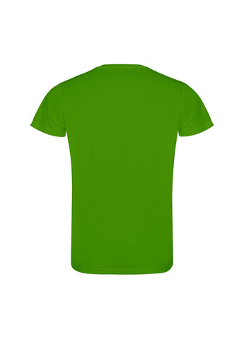 Зеленая футболка мужская спортивная однотонная зеленая 0450-226 с коротким рукавом Roly Camimera