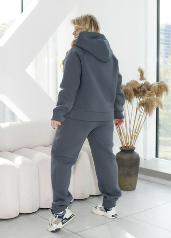 Спортивный костюм женский зимний на флисе (худи + штаны) No Brand (367959726)