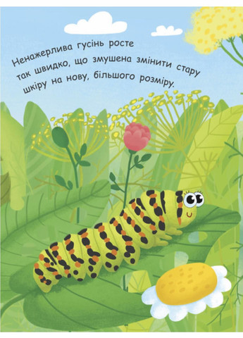 Моя первая энциклопедия: Как рождается бабочка? Автор Конопленко И., Л807010У 9789667488352 РАНОК (289718723)