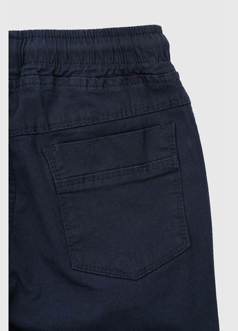 Темно-синие повседневный демисезонные брюки карго Pitiki